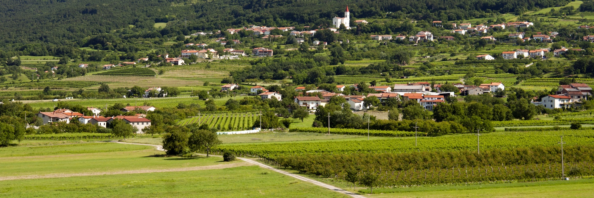Slovenia, Slovenian Littoral, Vipava, views from the Zemono Manor