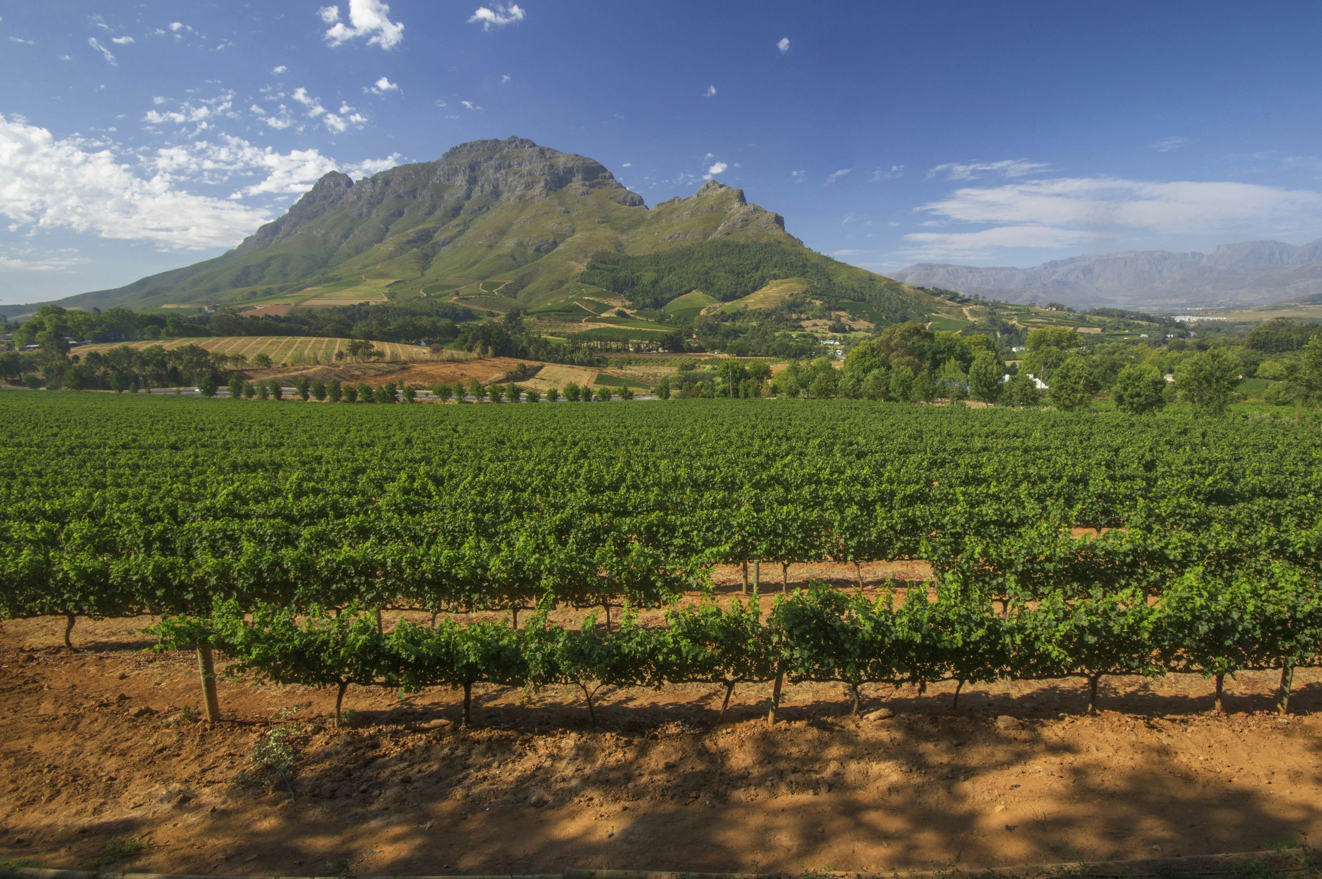 winelands