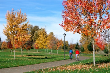 Oregon, Eugene, couple bicycle in city park in autumn, view from behind