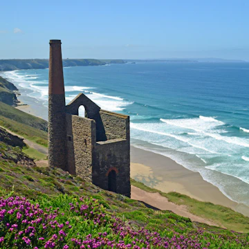 Heather at Towanroath Engine House