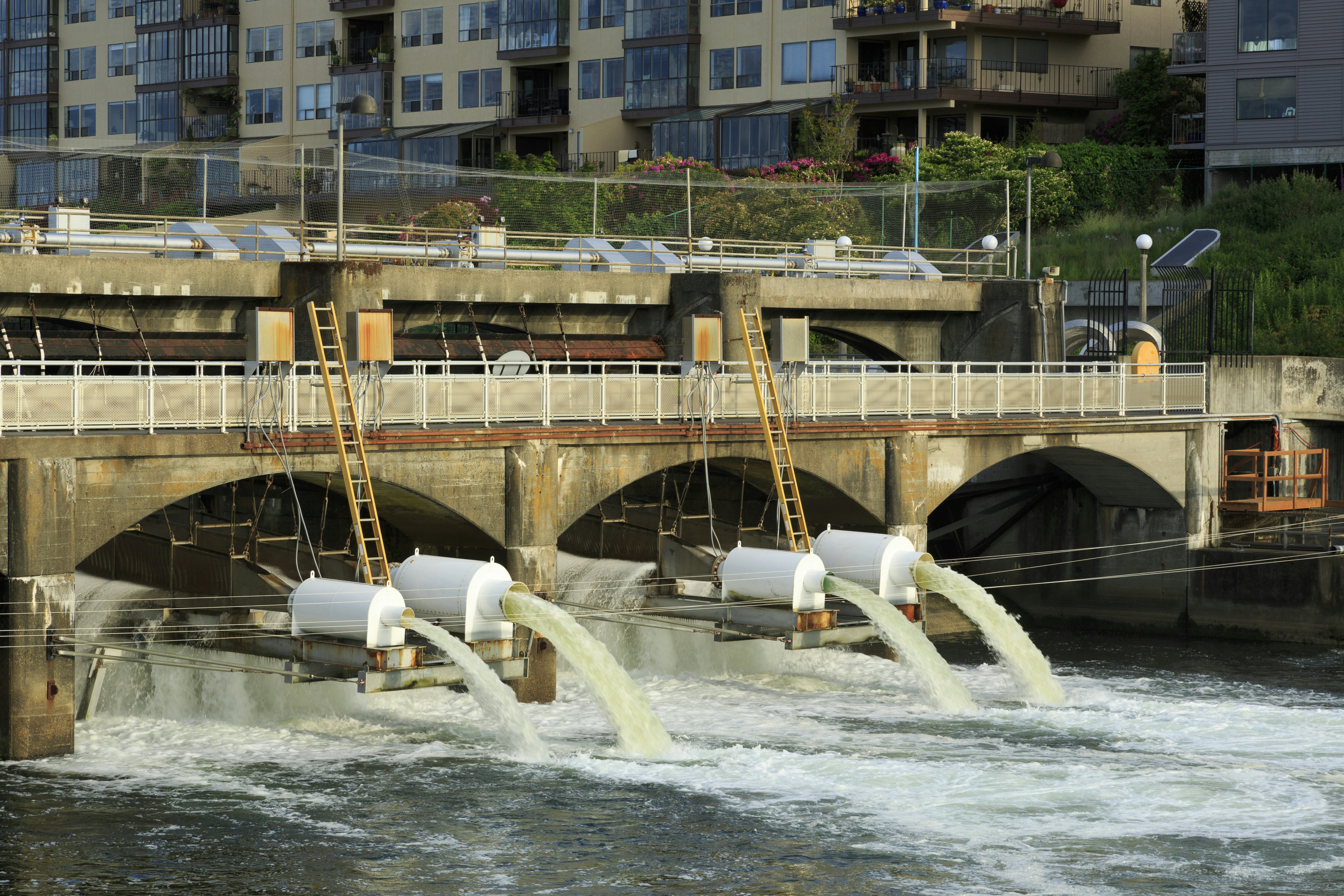 Hiram M. Chittenden Locks on Lake Washington