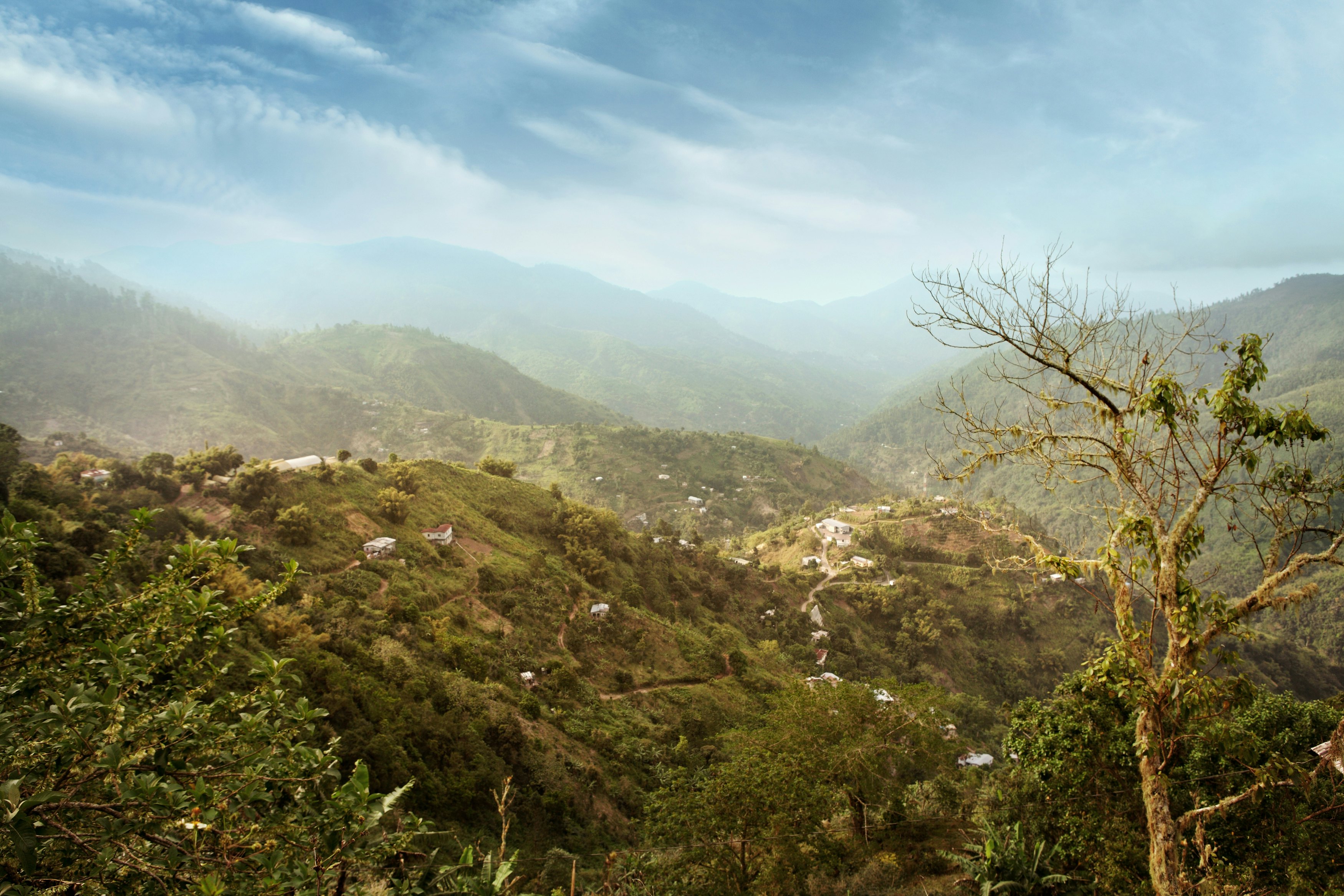 Blue Mountains in Jamaica