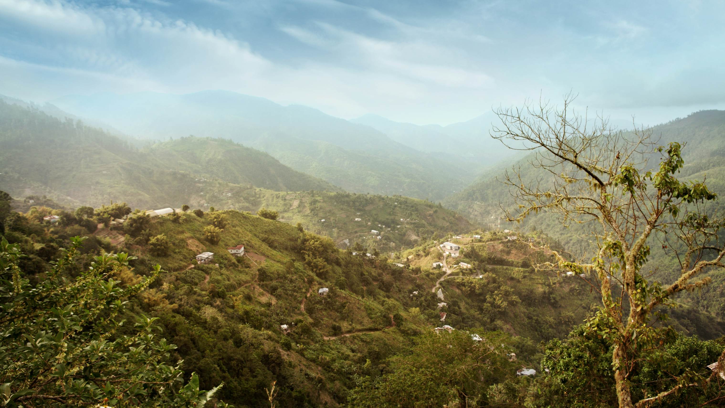 Blue Mountain Peak Attractions Lonely