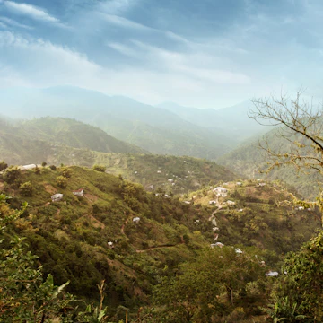 Blue Mountains in Jamaica