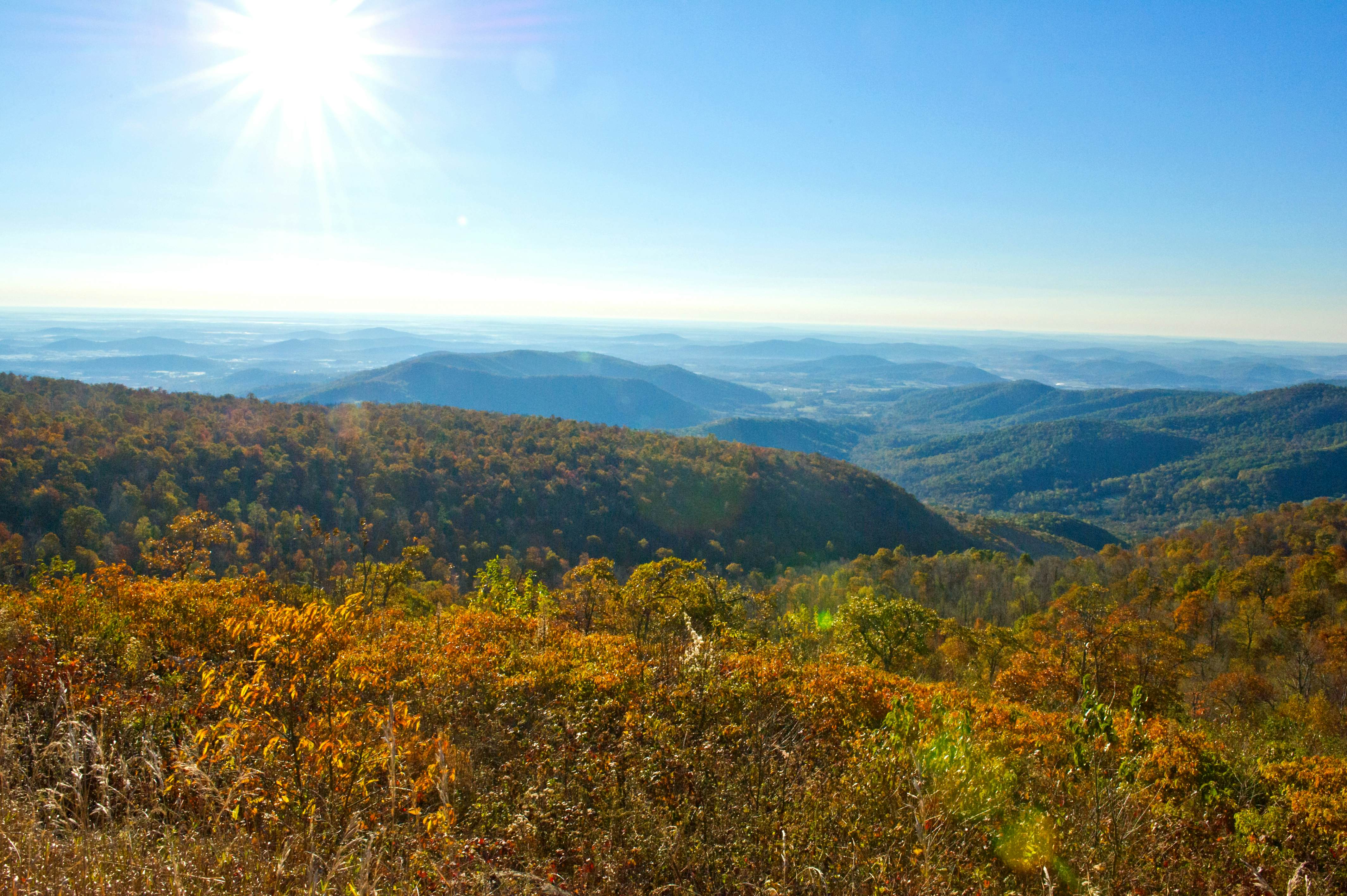 Shenandoah Fall Foliage Peak 2025 Inge Regine