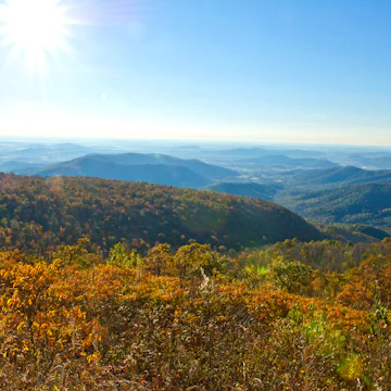 Trees at the peak of Fall color are seen looking out over the Piedmont October 26, 2013 from Shenandoah National Park in Virginia. AFP PHOTO / Karen BLEIER (Photo credit should read KAREN BLEIER/AFP/Getty Images)