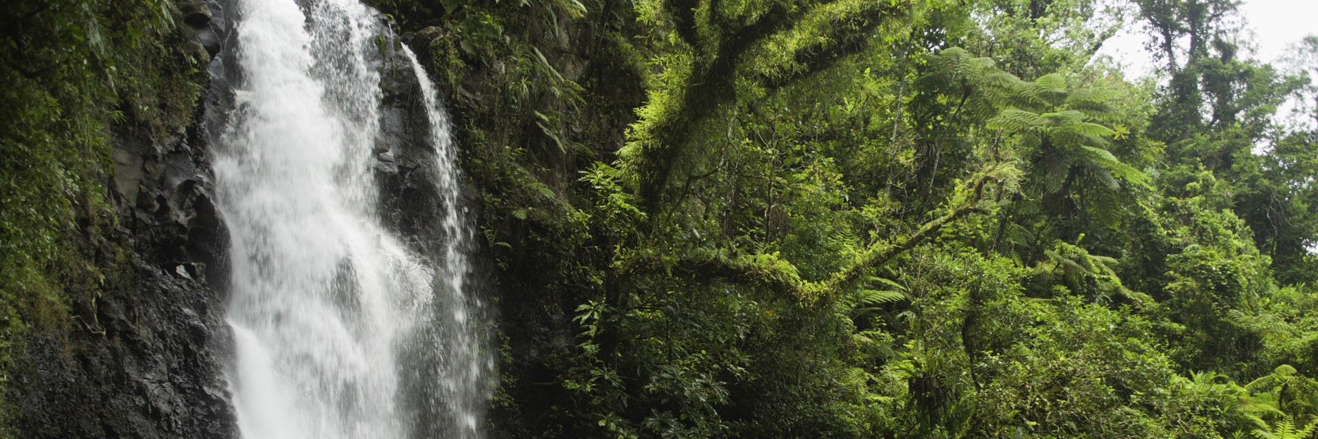 Fiji, Tavoro National Park, Taveuni Island, Middle Bouma Falls