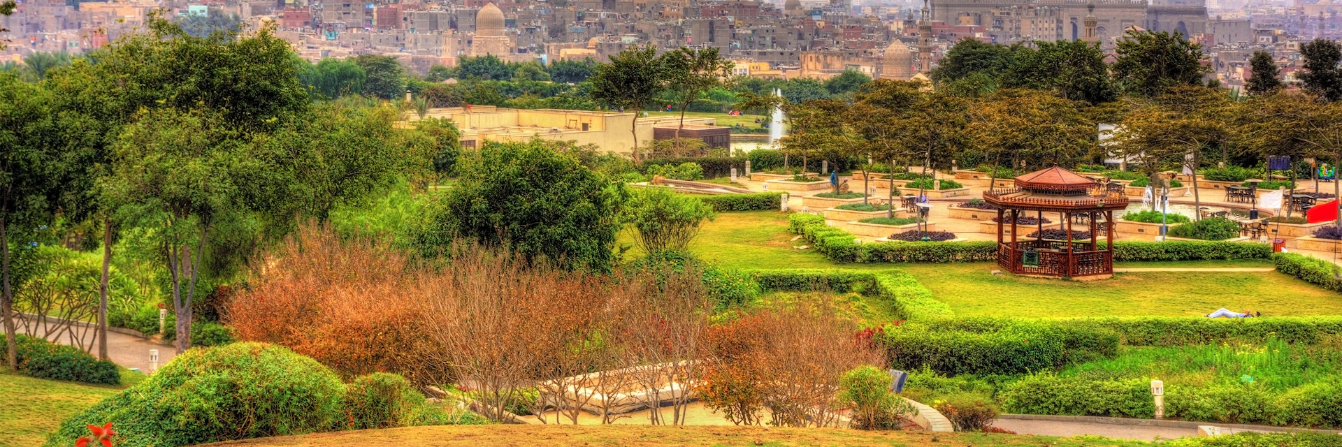 View of the Citadel from Al-Azhar Park