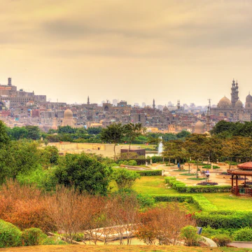 View of the Citadel from Al-Azhar Park