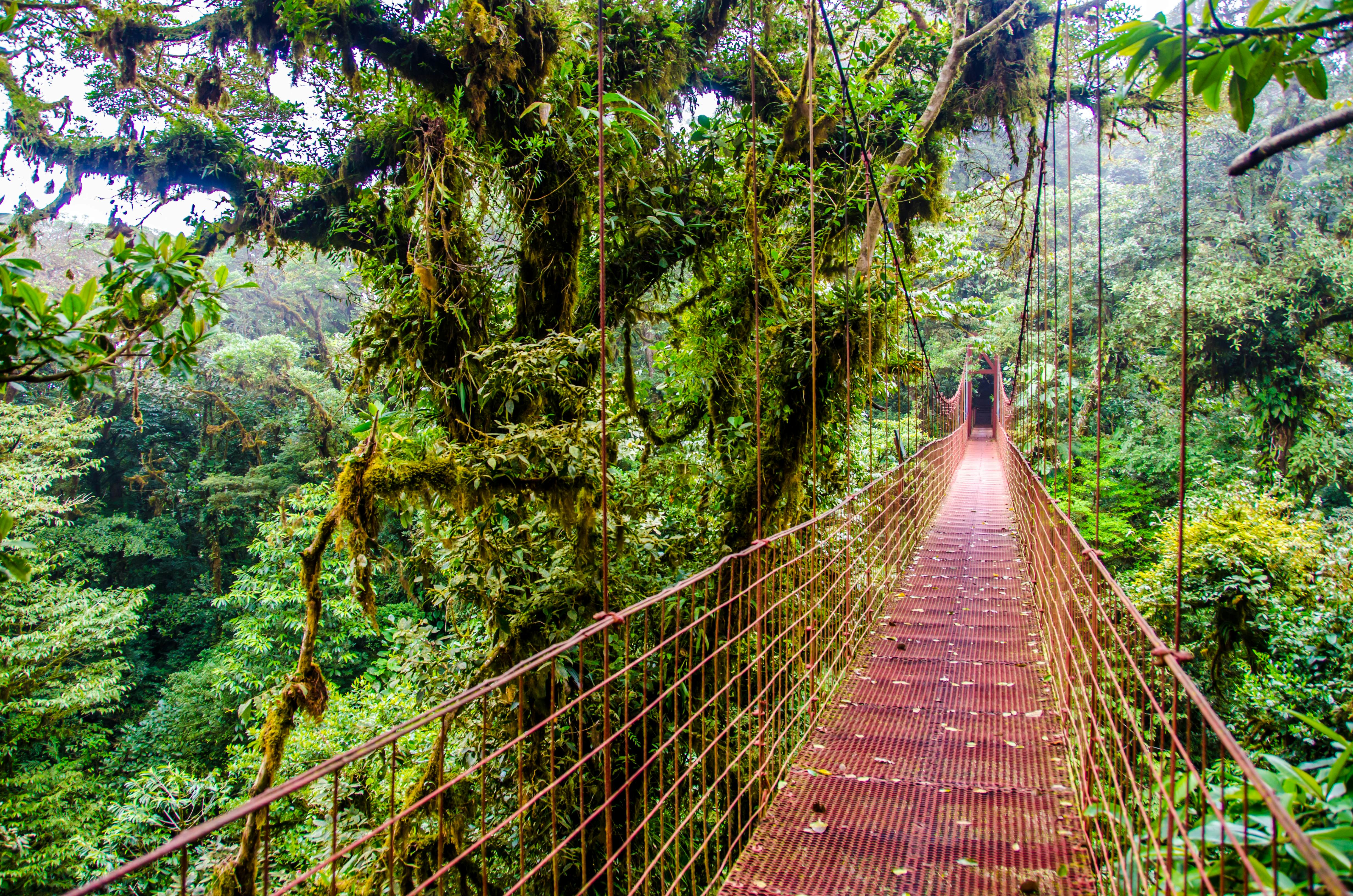 Costa Rica Travel Guide Central America - Lonely Planet