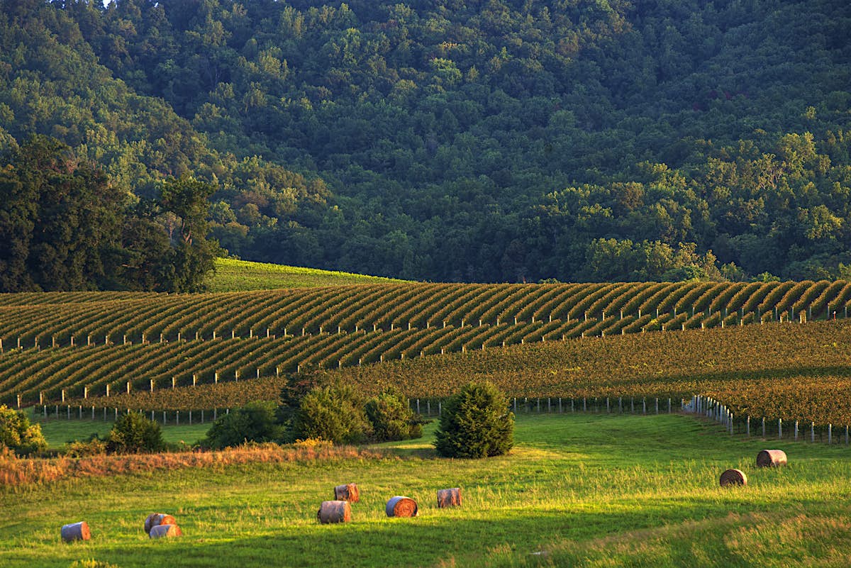 Charlottesville travel | Virginia, USA - Lonely Planet