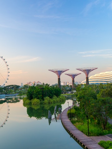 Supertree Grove in the Garden by the Bay in Singapore