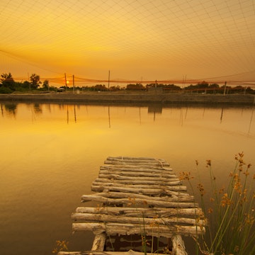 Wooden bridge at sunset in Can Gio, Viet Nam