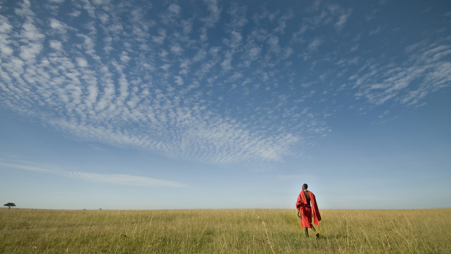 Maasai in the Grass