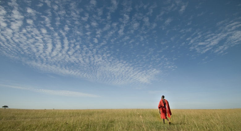 Maasai in the Grass
