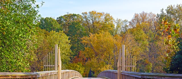 Theodore Roosevelt Island | USA Attractions - Lonely Planet Theodore Roosevelt Island | USA Attractions - Lonely Planet