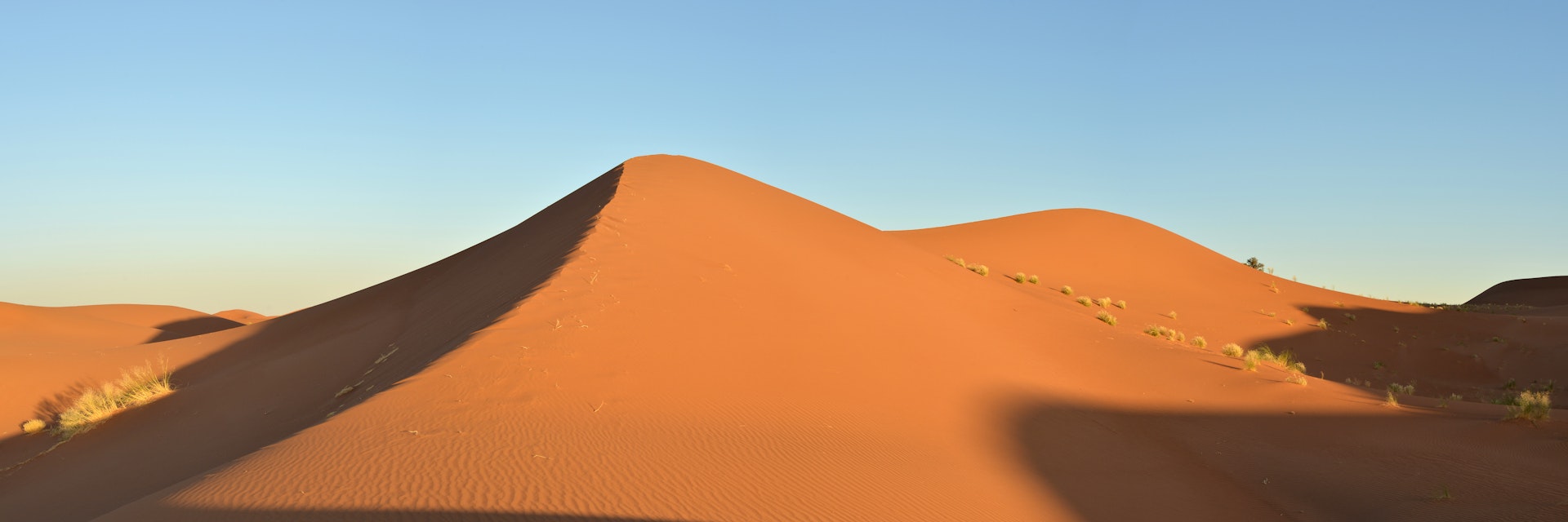 Dune at sunset, Sahara