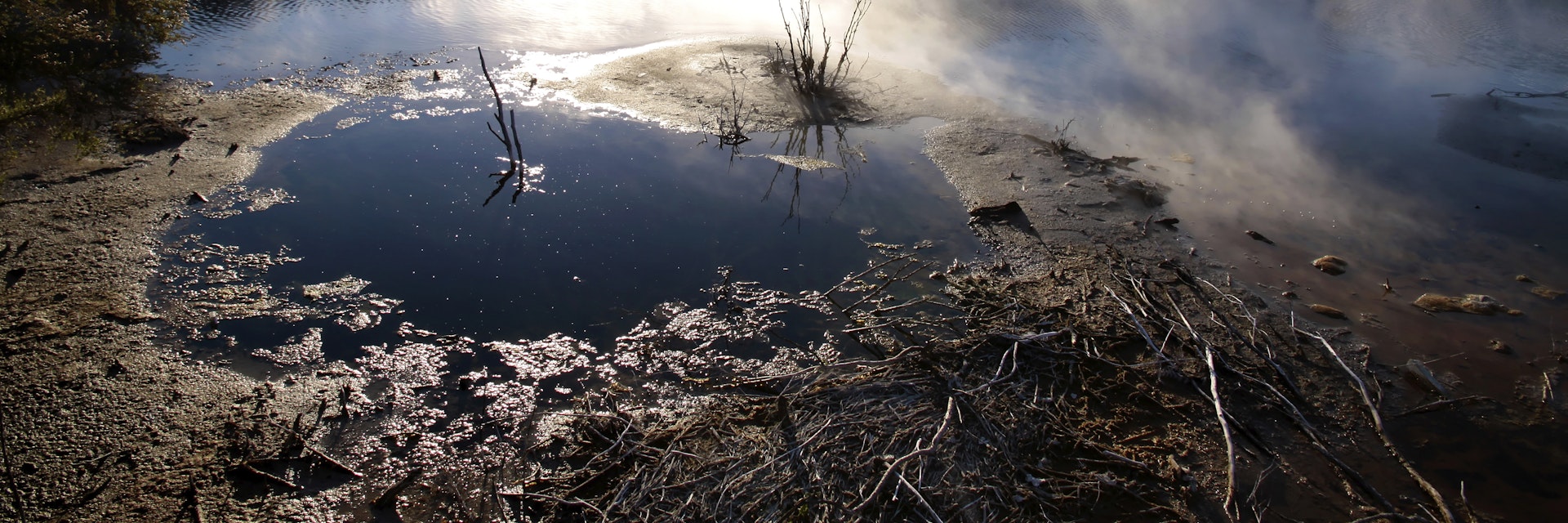 Hot spring in Kuirau Park