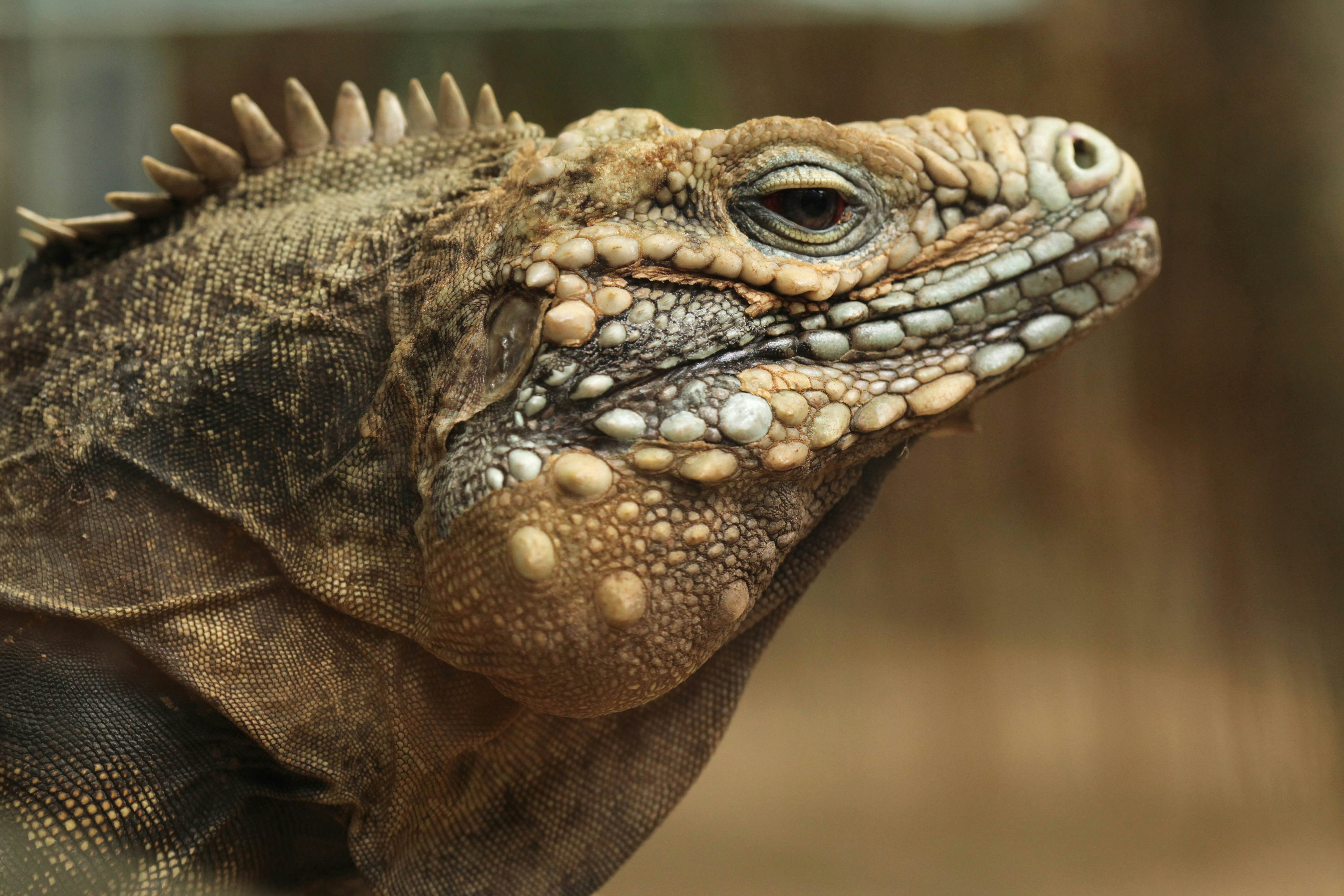 Izotope insight mac rutracker