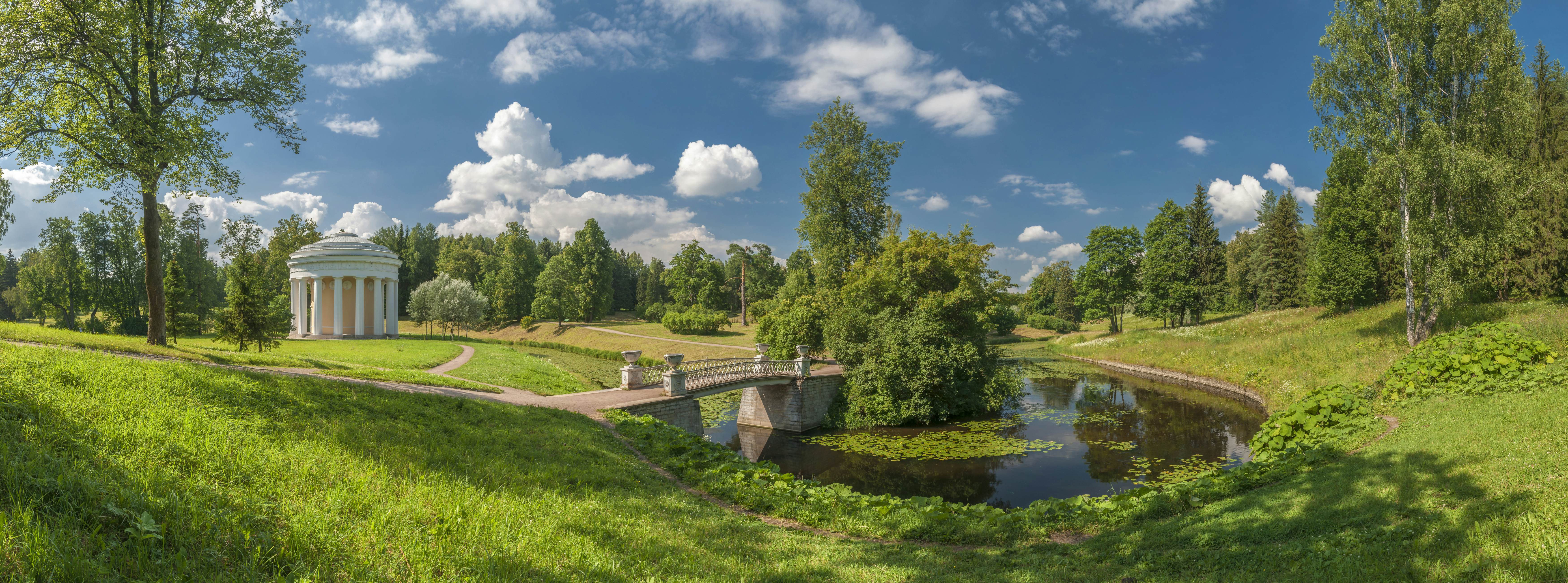 Summer park panorama