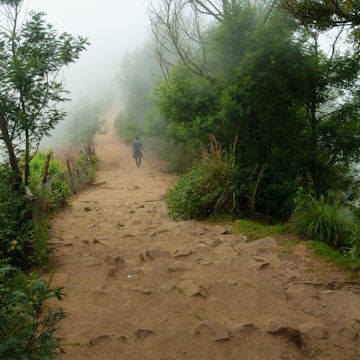 Road in fog at the Top station in Munnar