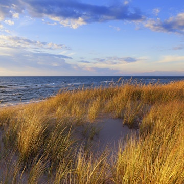 Dune Grass on Lake Michigan