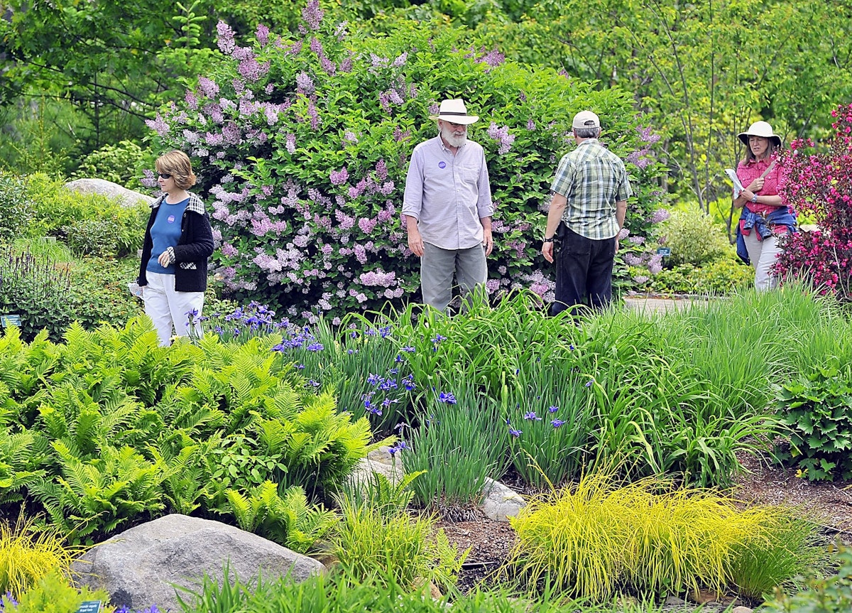 Gordon Chibroski, Staff Photographer. Friday, June 14,  2013. .Visitors to the Coastal Maine Botanical Gardens in Boothbay are surrounded by a multitude of fauna and flora.