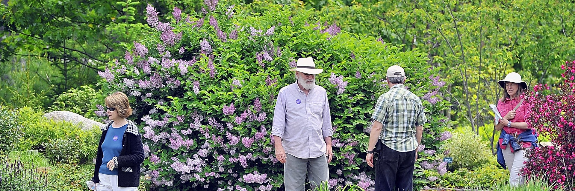 Gordon Chibroski, Staff Photographer. Friday, June 14,  2013. .Visitors to the Coastal Maine Botanical Gardens in Boothbay are surrounded by a multitude of fauna and flora.