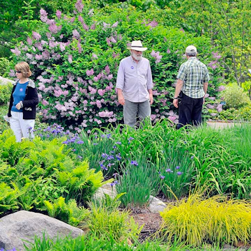 Gordon Chibroski, Staff Photographer. Friday, June 14, 2013. .Visitors to the Coastal Maine Botanical Gardens in Boothbay are surrounded by a multitude of fauna and flora.
