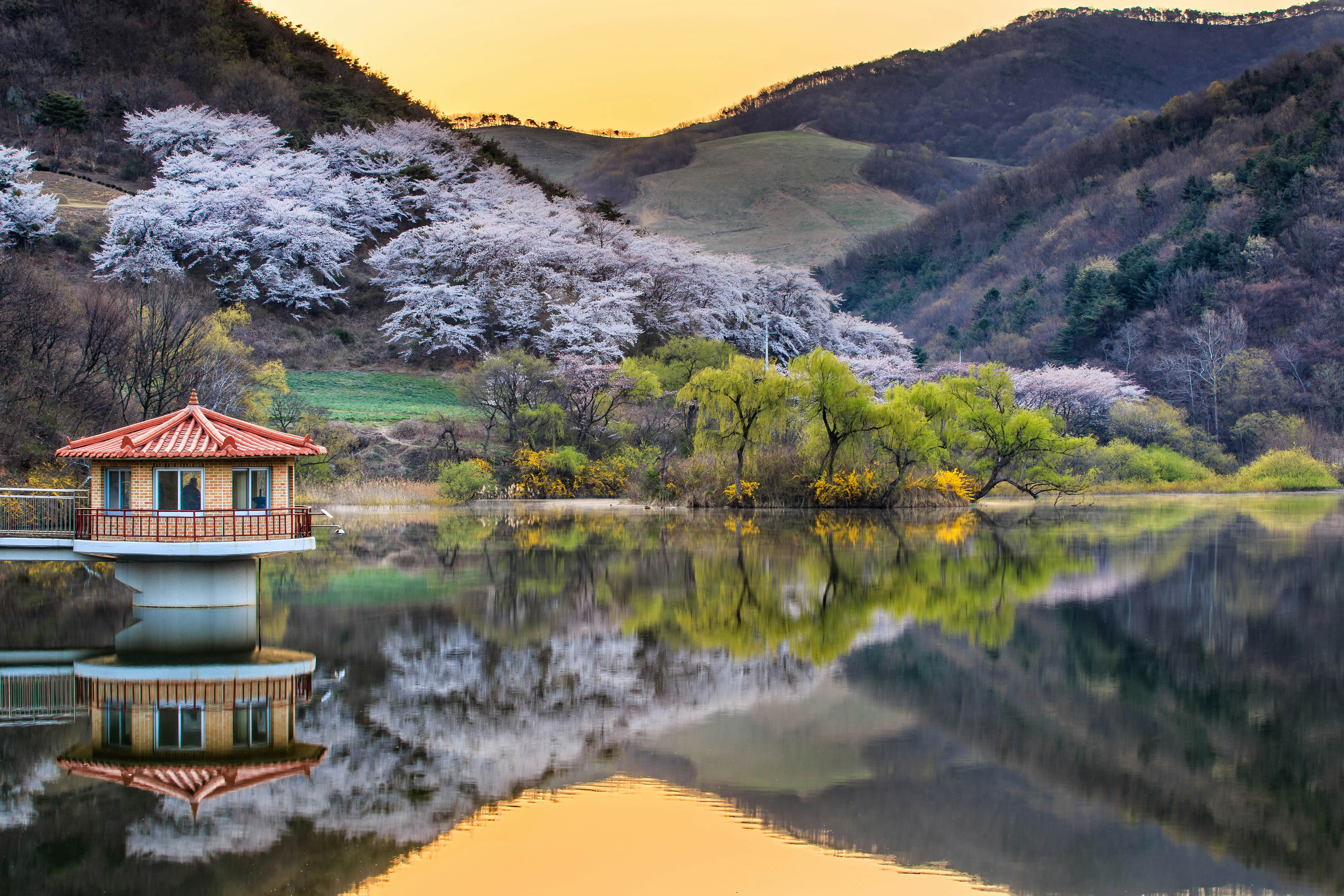 Chungcheongnam-do Travel | South Korea - Lonely Planet