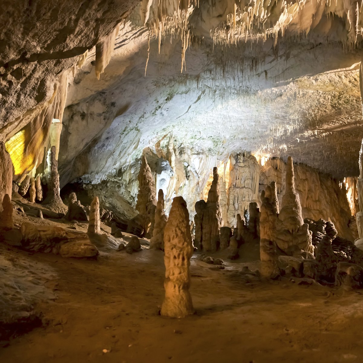 Postojna Cave