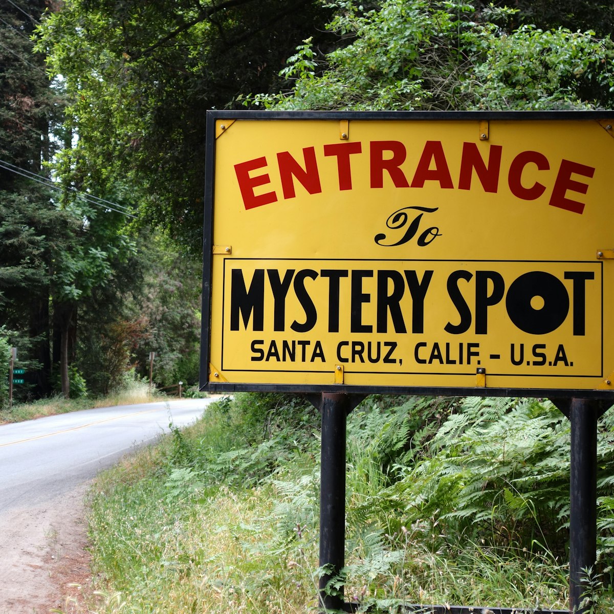 The Mystery Spot, Santa Cruz, California USA