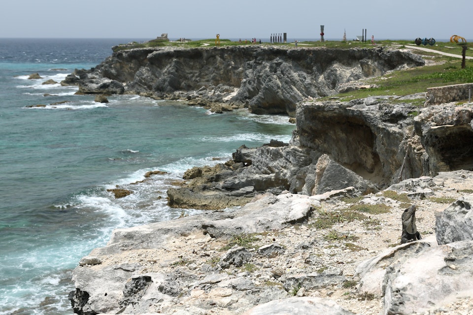 Iguanas at Punta Sur on Isla Mujeres, Quintana Roo