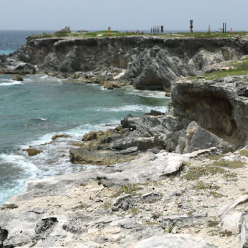 Iguanas at Punta Sur on Isla Mujeres, Quintana Roo