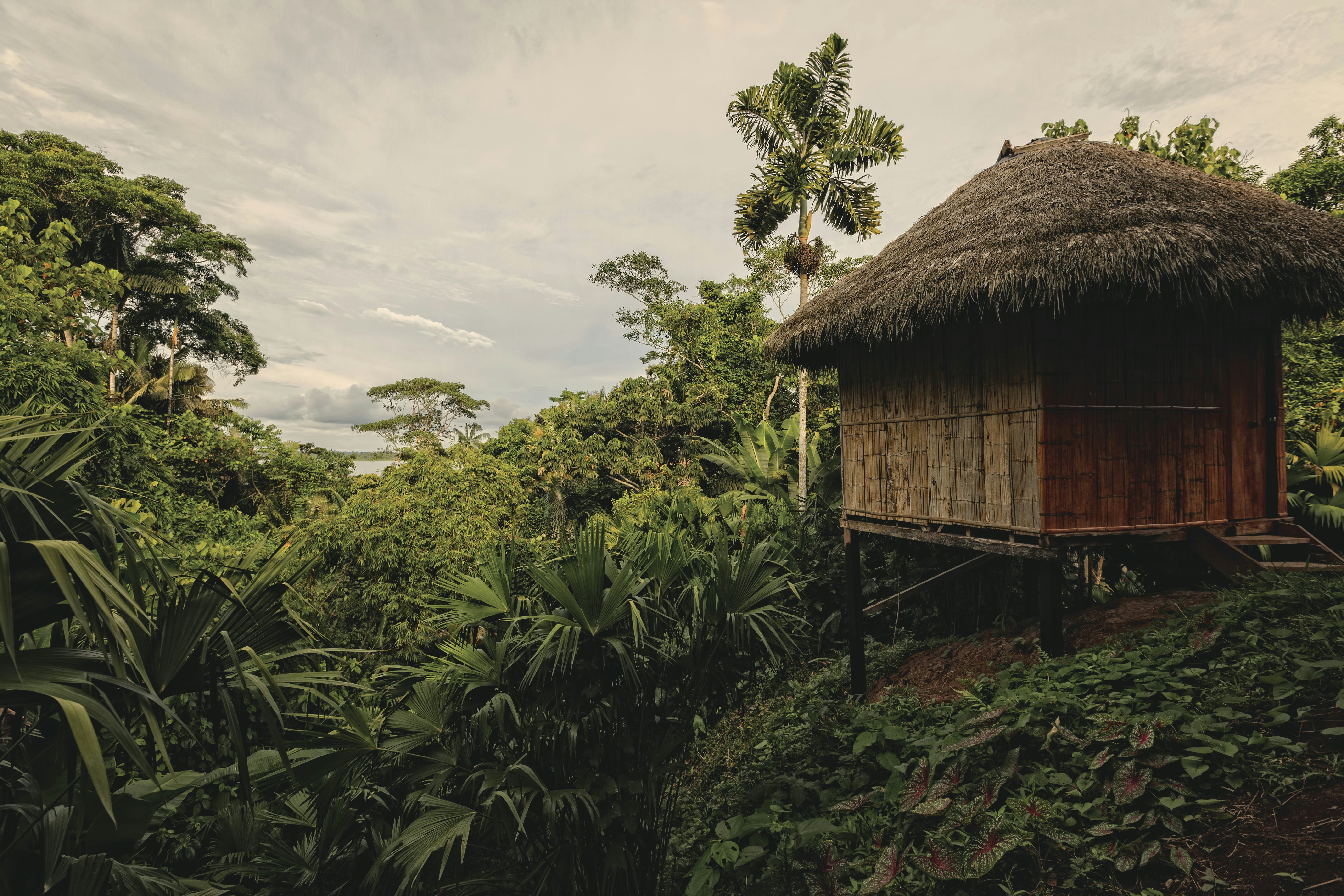 amazonian lodge