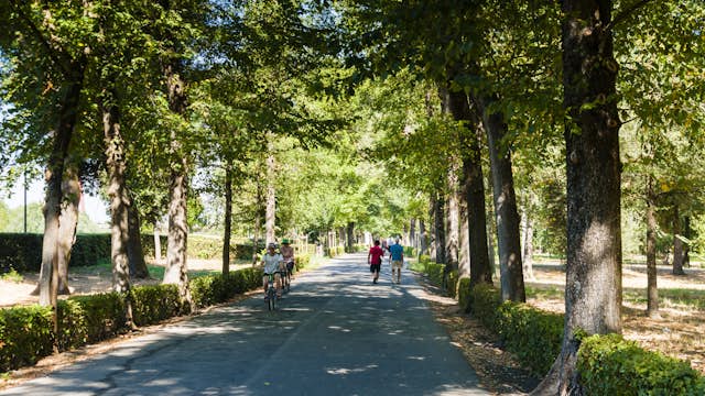 Park of Cascine (Parco delle Cascine), Florence (Firenze), Tuscany, Italy, Europe