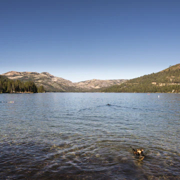 Donner Lake Playground