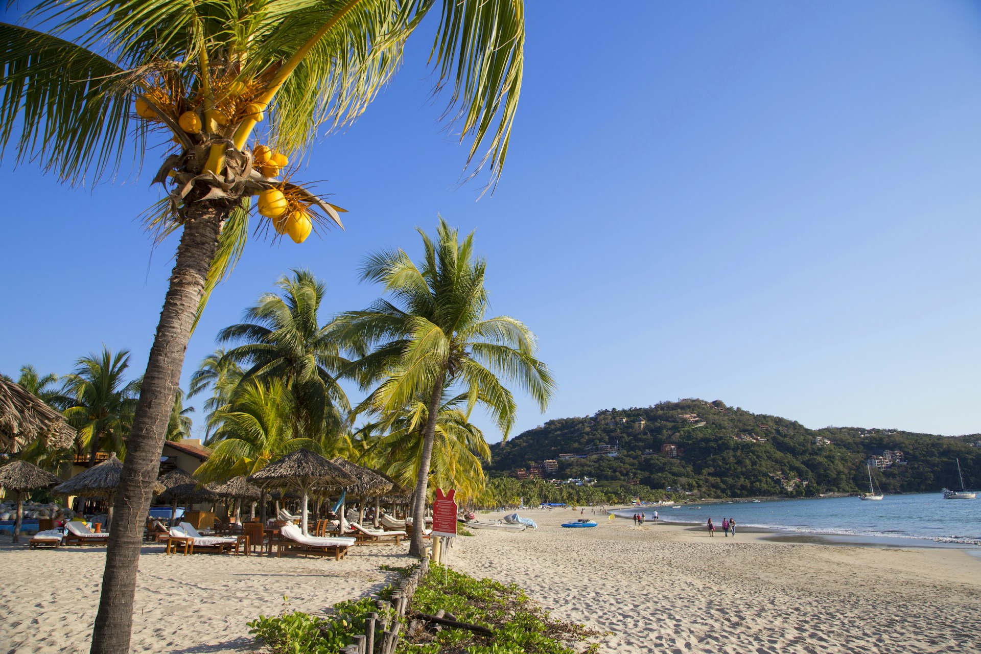 Palm trees, lounge chairs and mountains in the background at Playa La Ropa in Zihuatanejo