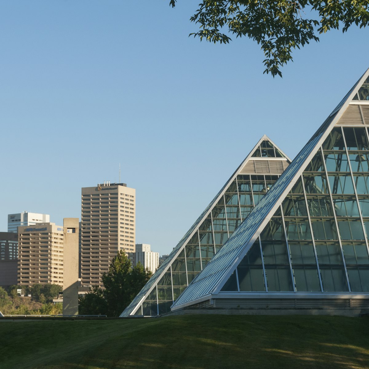 Muttart Conservatory with Edmonton skyline