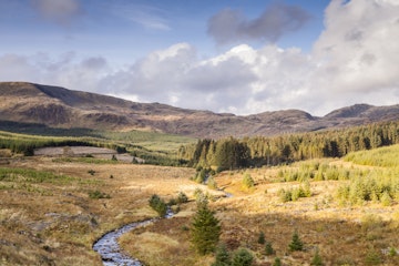 The Galloway Forest Park, Scotland