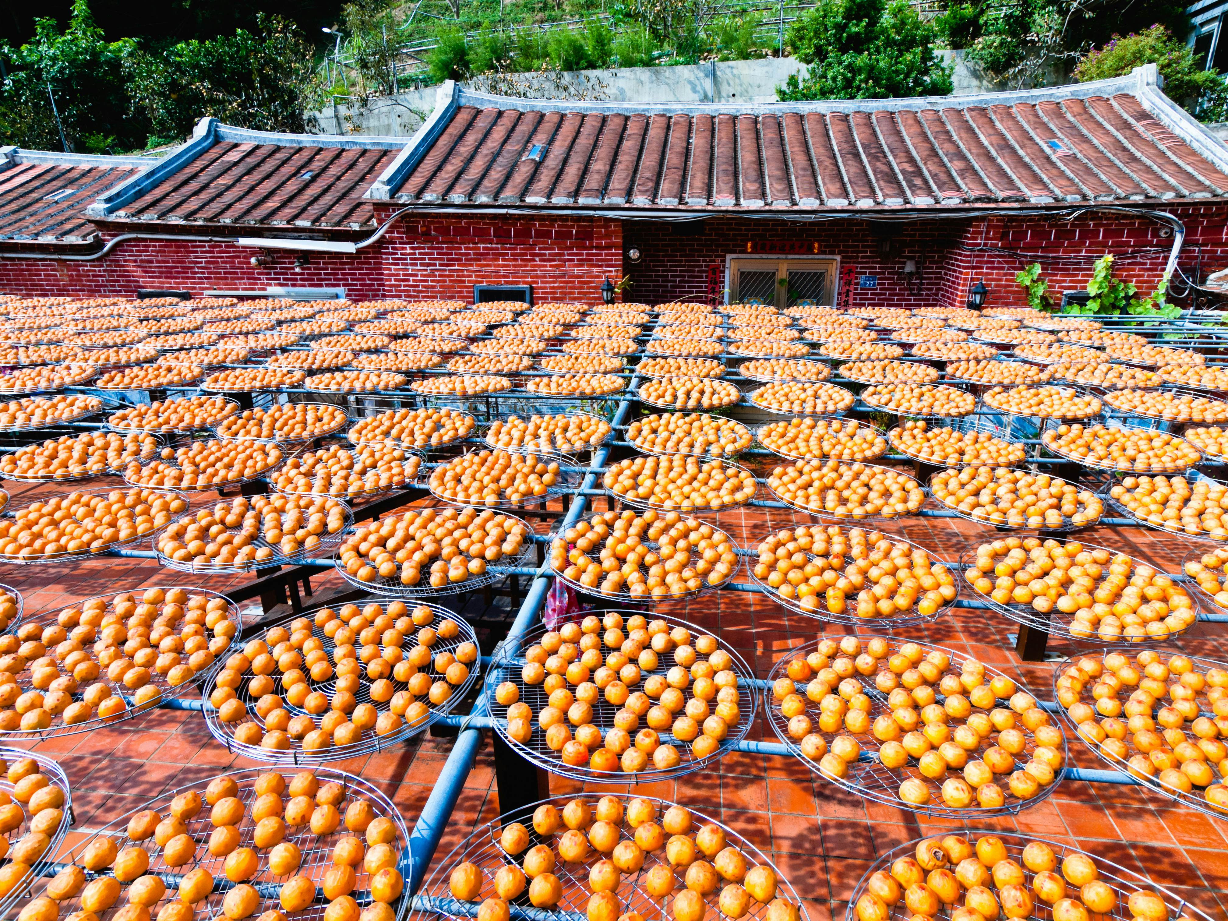 Hsinchu travel Northern Taiwan, Taiwan Lonely