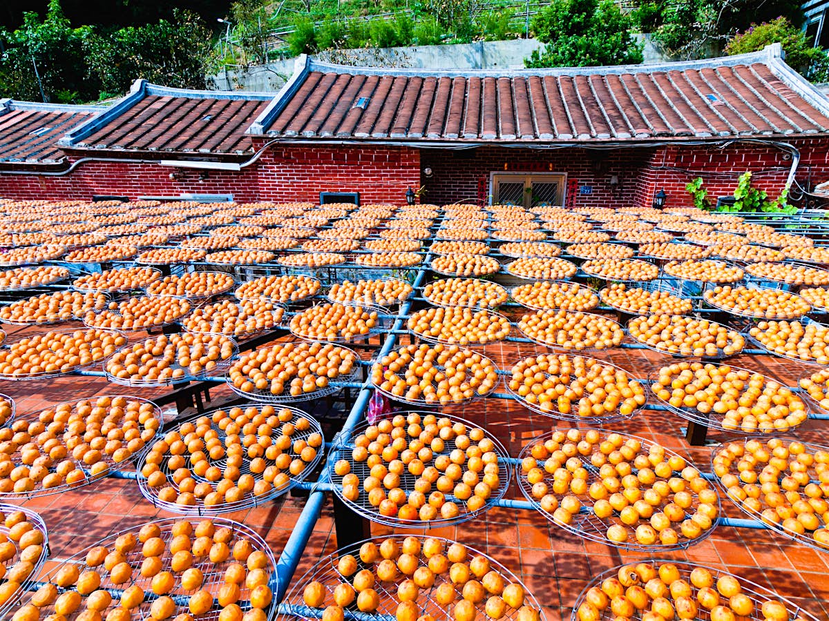 Hsinchu travel Northern Taiwan, Taiwan Lonely