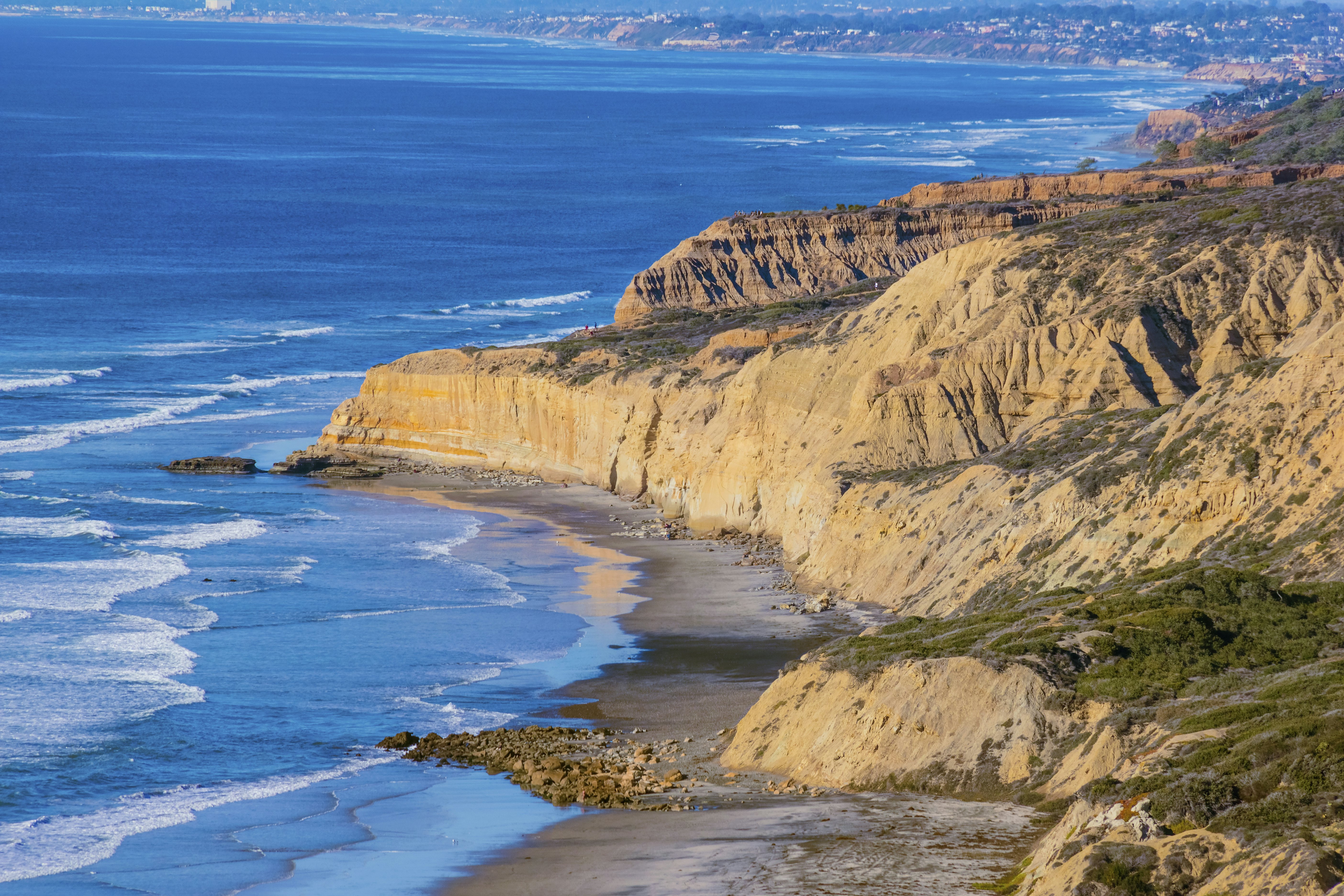 Torrey Pines State Natural Reserve, Pacific Ocean, CA,(P)