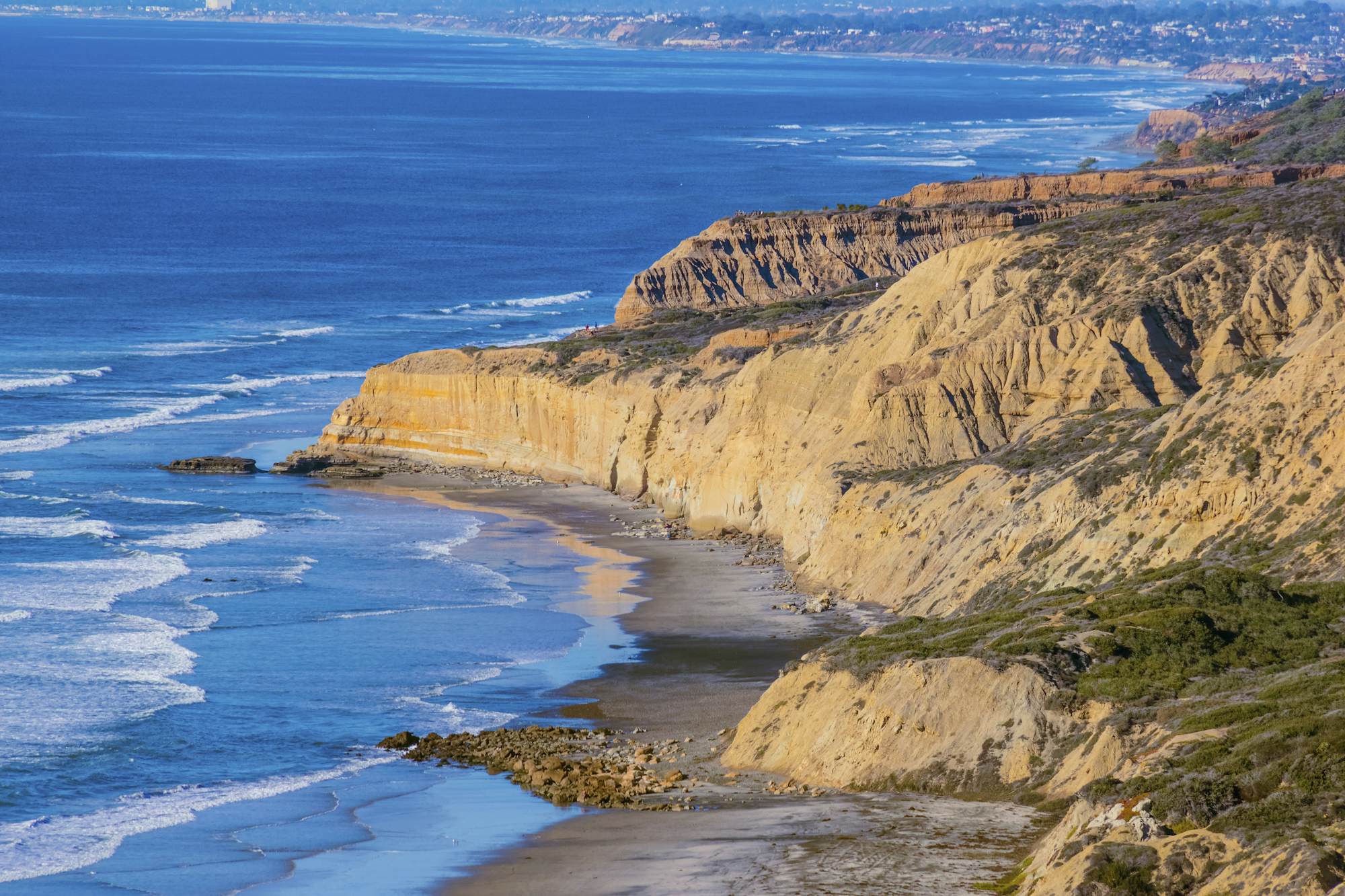 Torrey Pines State Natural Reserve USA Attractions Lonely Planet