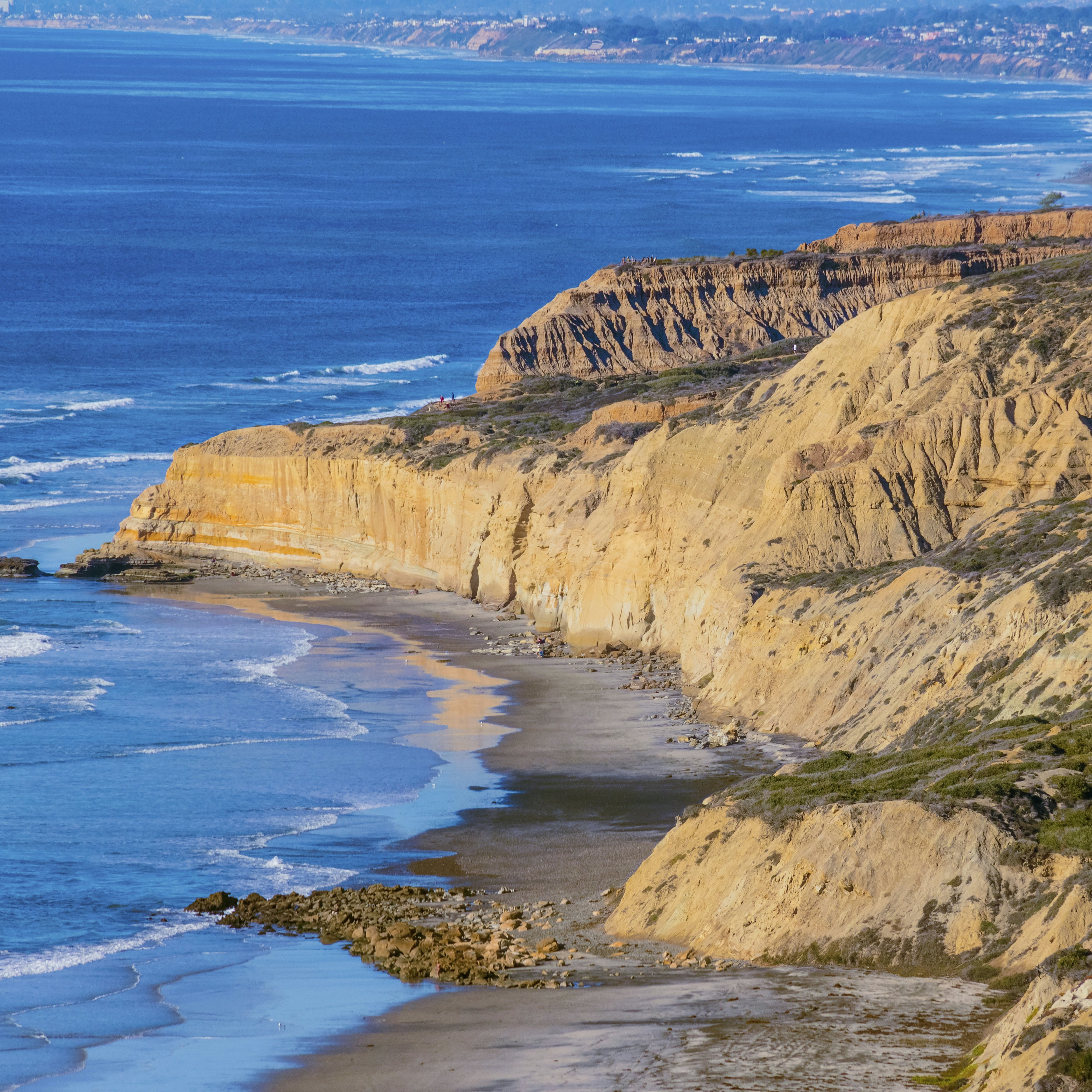 Torrey Pines State Natural Reserve, Pacific Ocean, CA,(P)