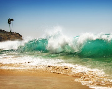 Waves, Cliff and Palm Trees at Laguna Beach