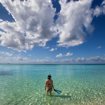 Snorkeler at Beach in Cozumel