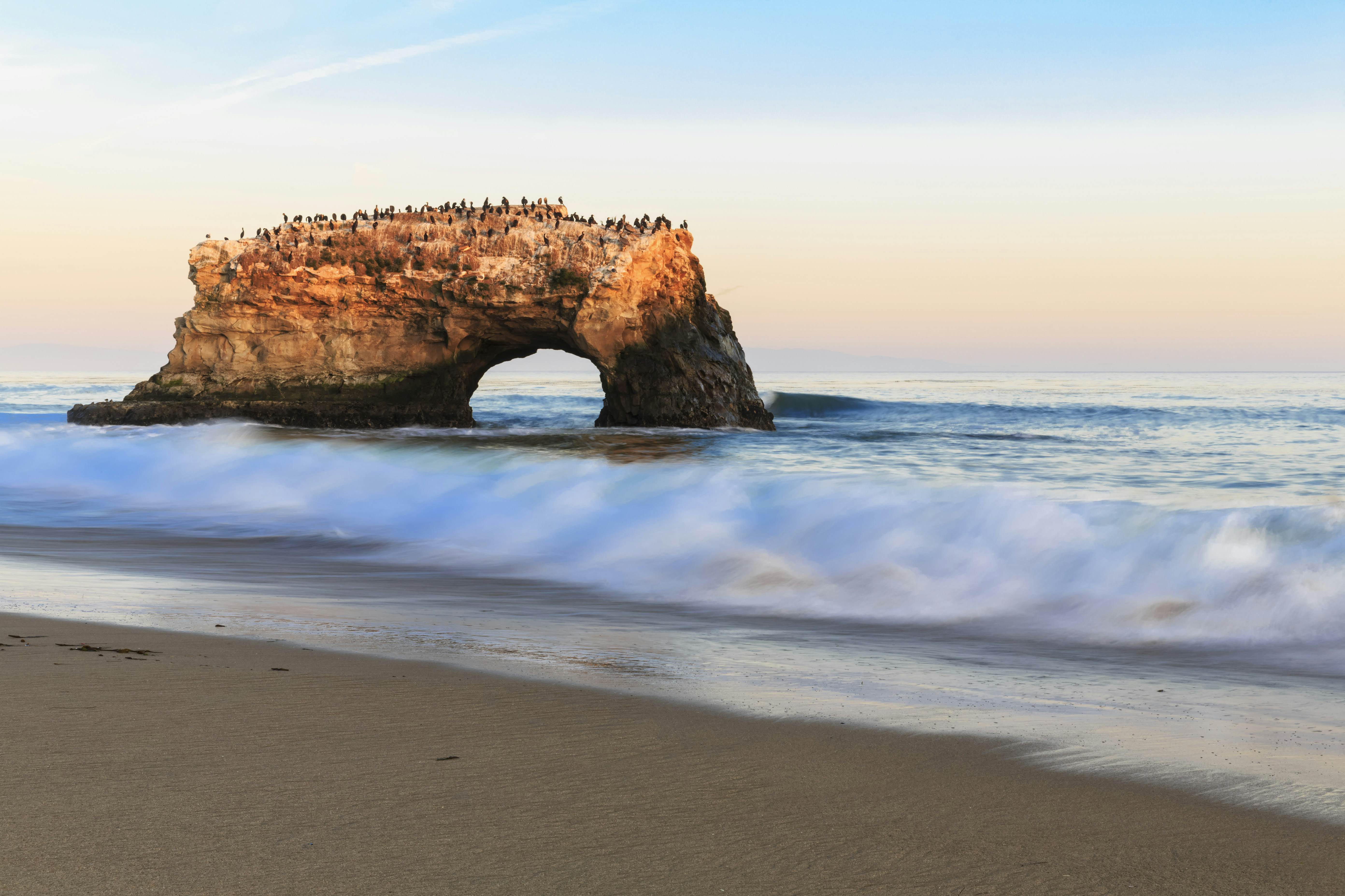 Natural Bridges State Beach Santa Cruz California Attractions