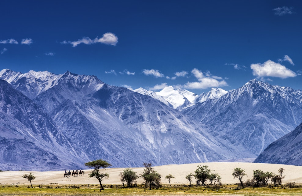 Nubra Valley travel - Lonely Planet