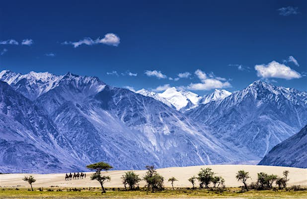 10 Fun things to do in Nubra Valley, Ladakh ~ The Land of Wanderlust